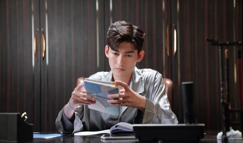 張翰工作室發(fā)聲明辟謠 否認自制APP付費觀新劇