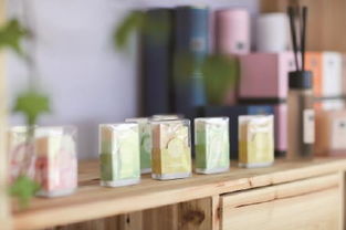 上海薰衣草節(jié)圓滿落幕，兩款官方周邊正式發(fā)售，影視劇推動(dòng)文旅新融合